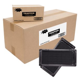 Muizen en ratten lijmplank Trapper Rat - Doos 96 stuks