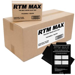 Muizen lijmplanken Trapper RTM Max Zwart - Doos 720 stuks