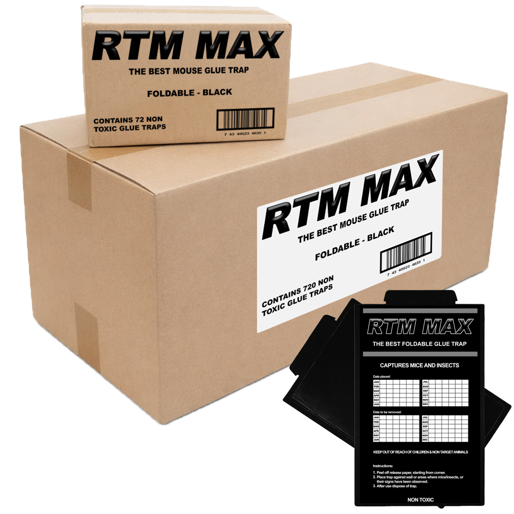 Muizen lijmplanken Trapper RTM Max Zwart - Doos 720 stuks