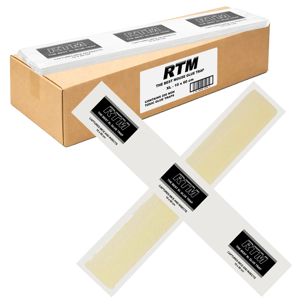 Muizen lijmplanken Trapper RTM XL - Doos 200 stuks